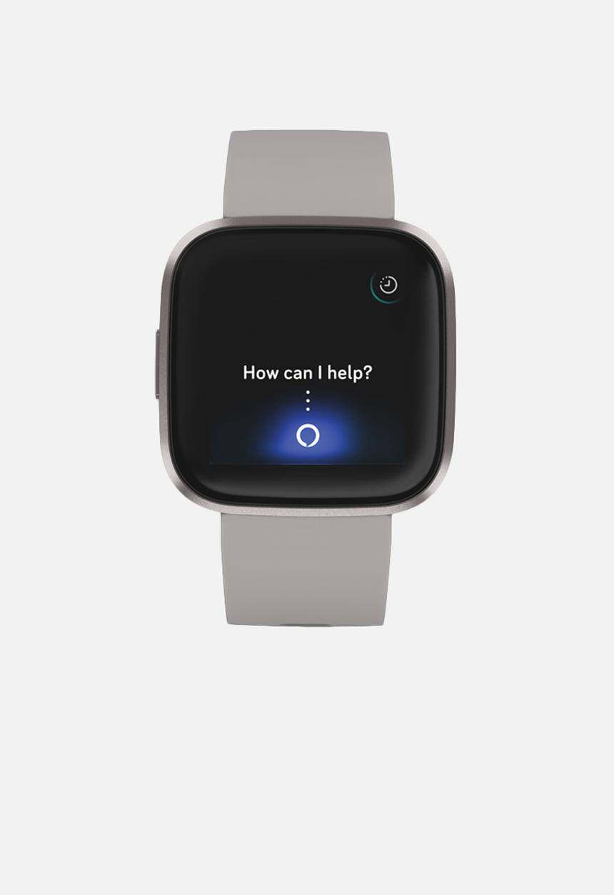 Fitbit - Fitbit versa 2 - stone/mist grey