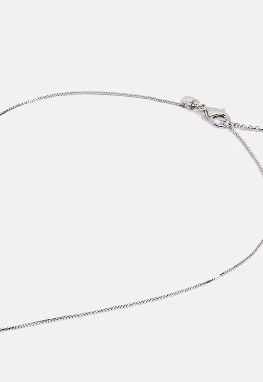 ALDO - Beauceron - silver