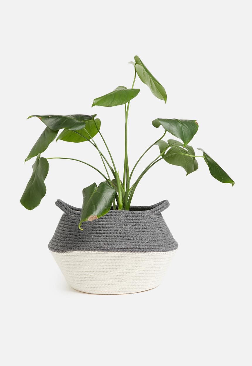 Sixth Floor - Cotton rope belly basket - grey & white