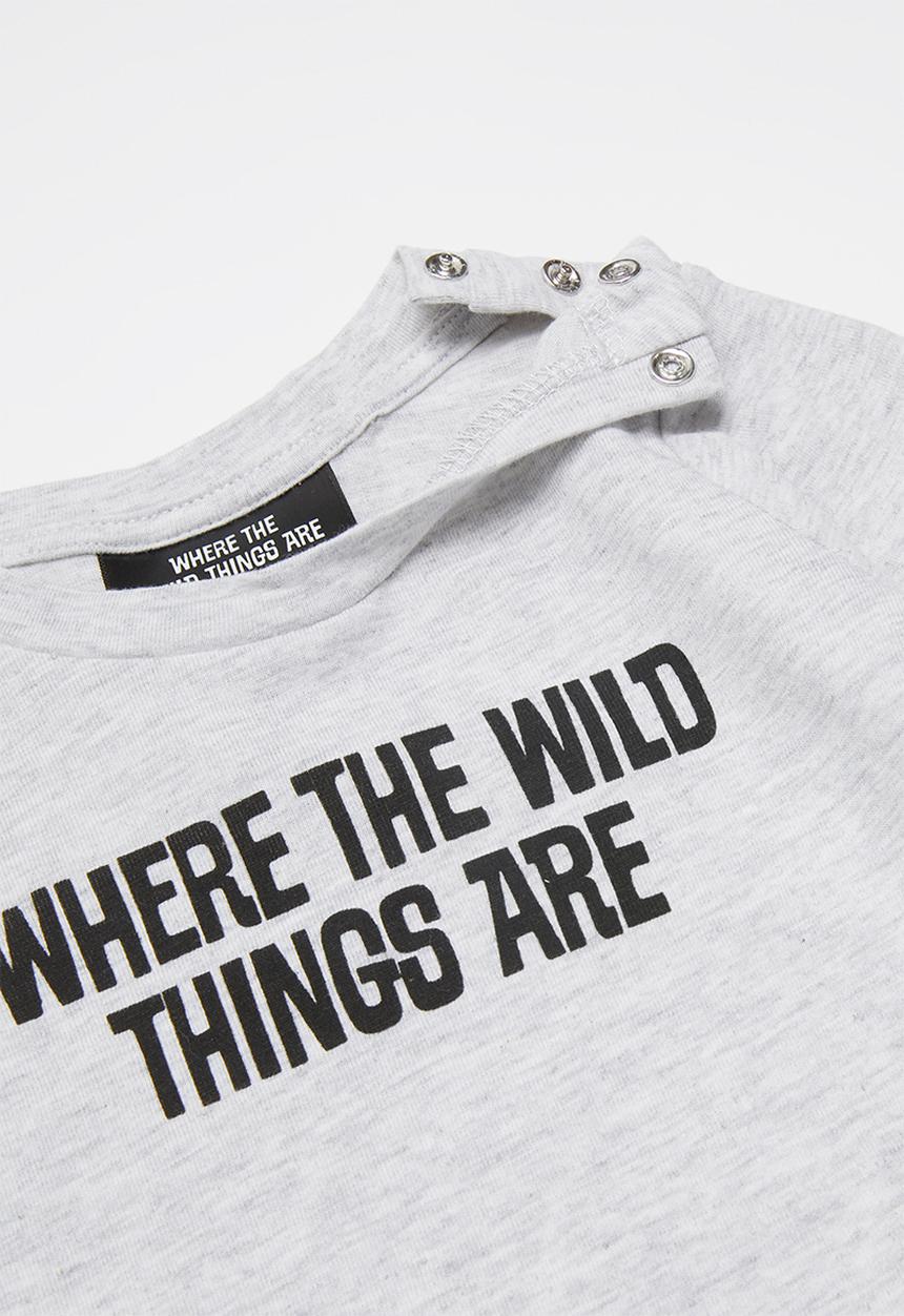 Cotton On - Jamie long sleeve tee - grey