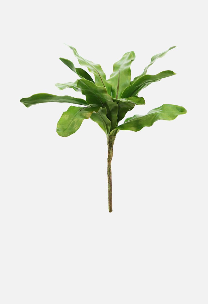 Silk By Design - Bird's nest fern plant - small - green