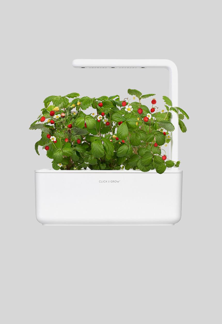 Click and Grow - Smart garden 3 - white
