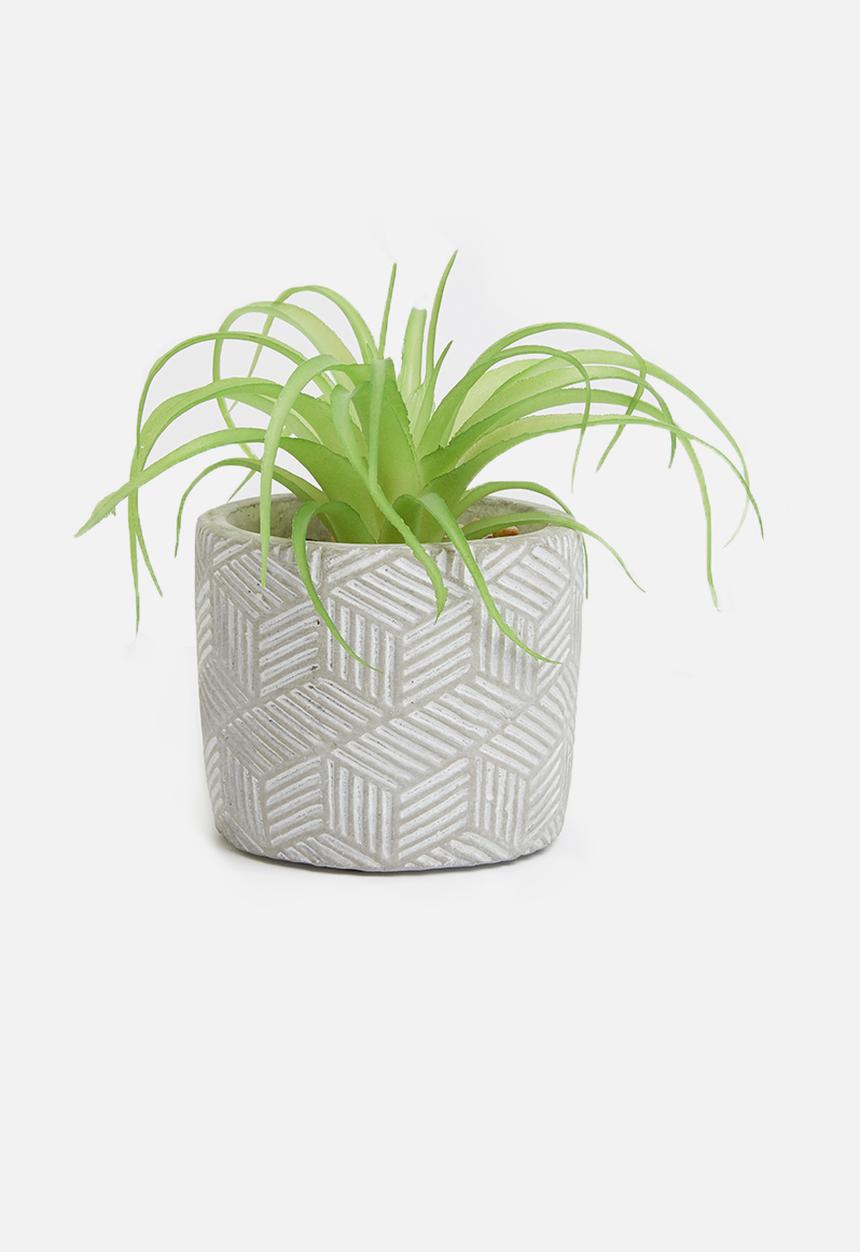 Silk By Design - Single succulent plant - grey