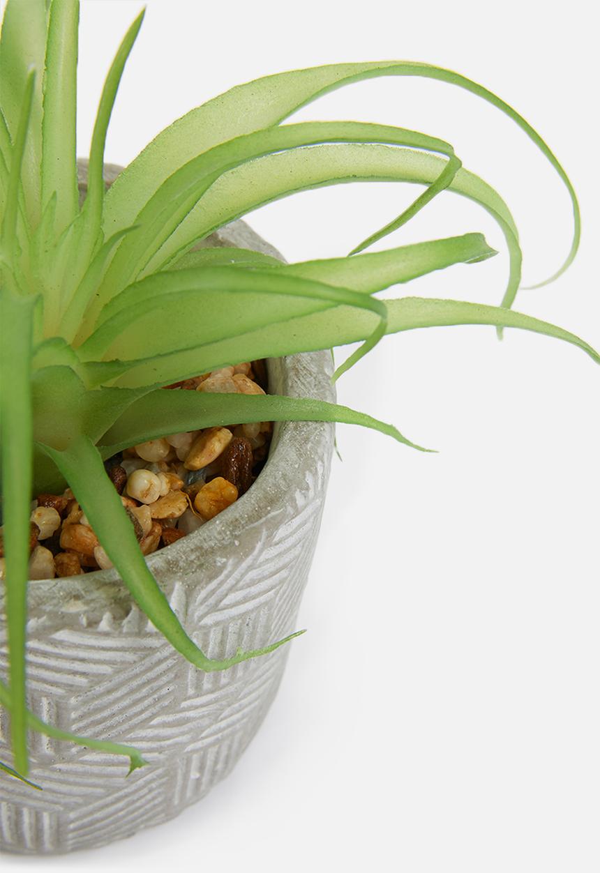 Silk By Design - Single succulent plant - grey