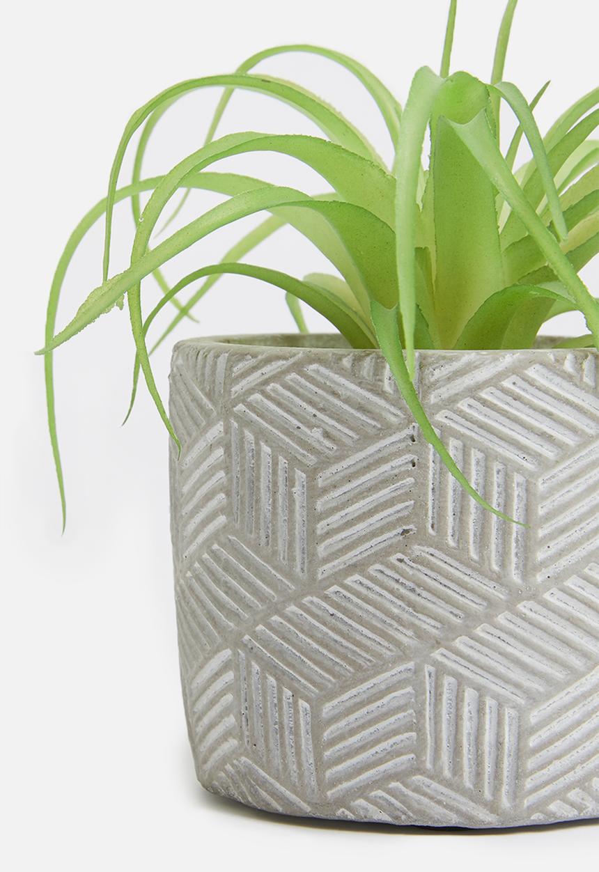 Silk By Design - Single succulent plant - grey