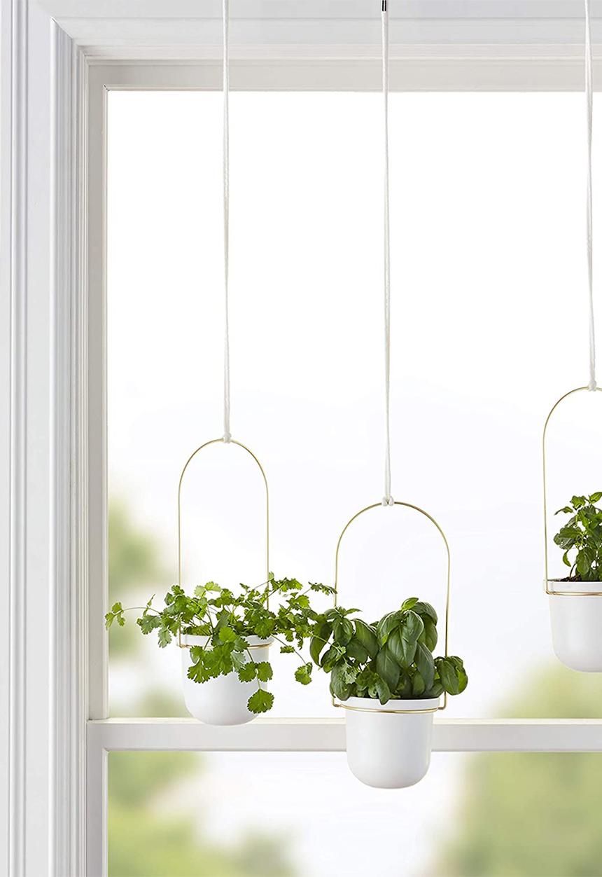 Umbra - Triflora hanging planter - white & brass
