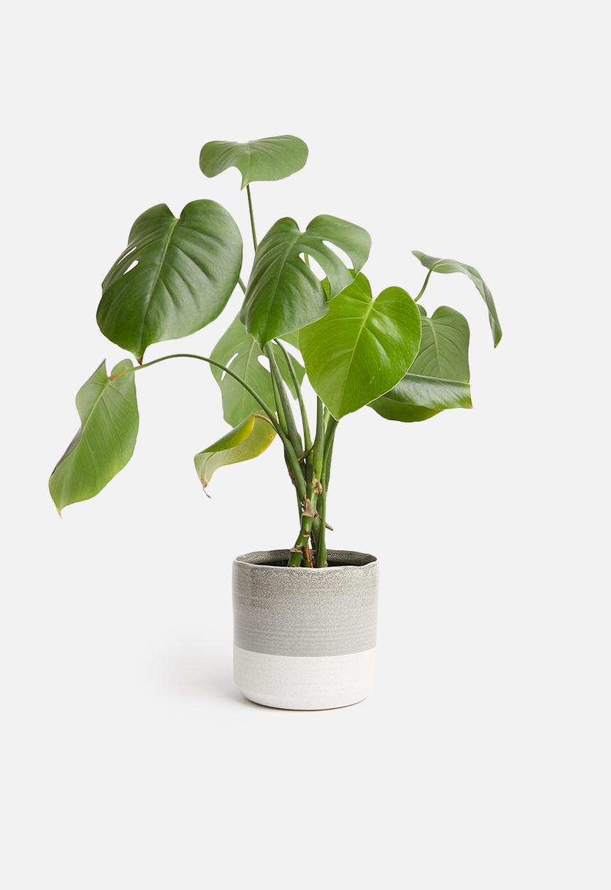 H&S - Sandy planter - grey & white
