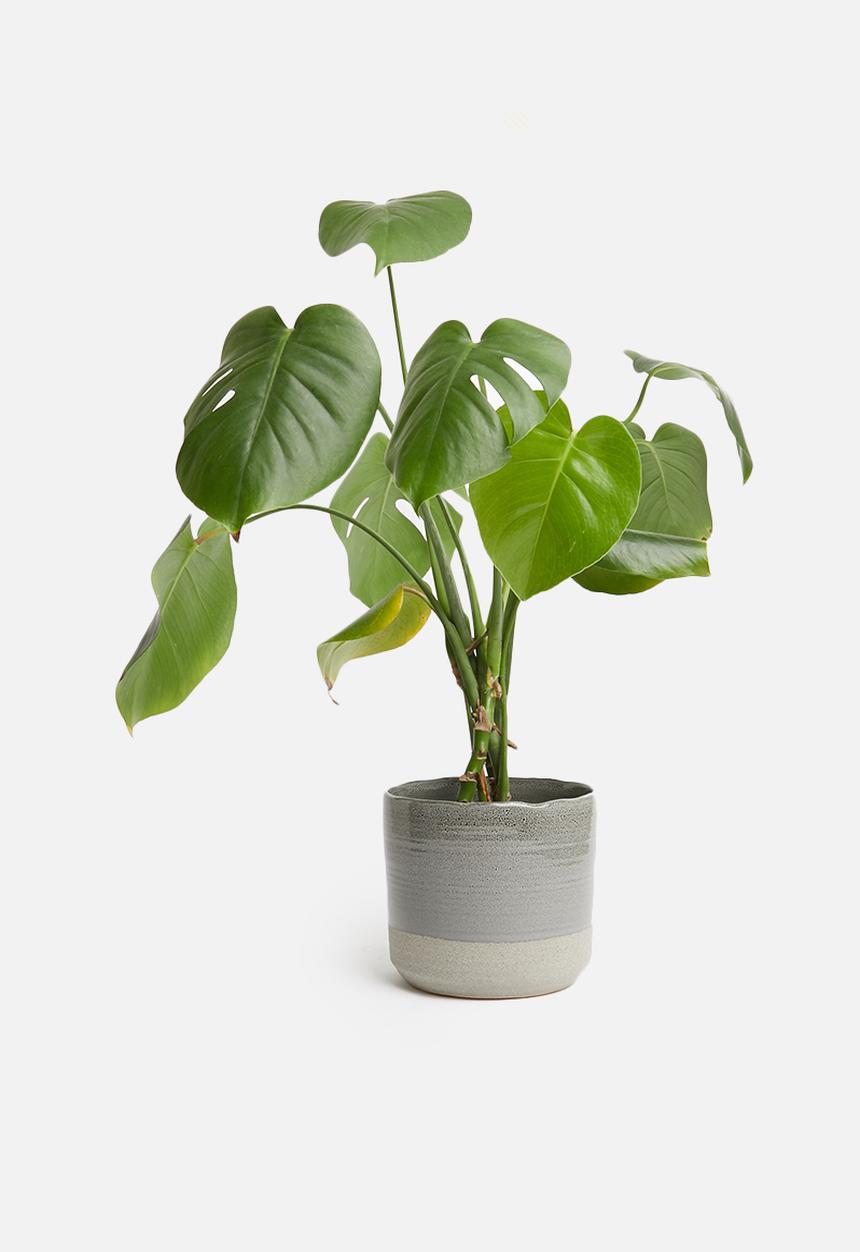 H&S - Sandy planter - charcoal