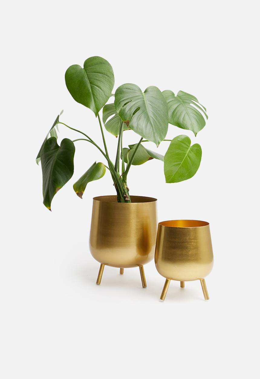 H&S - Tina flower pot set of 2 - gold