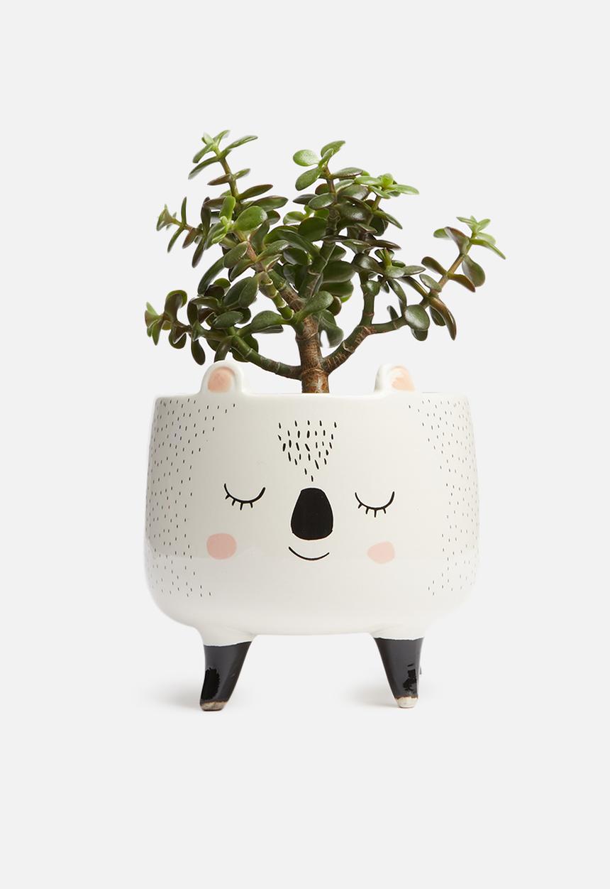 H&S - Koala planter - white