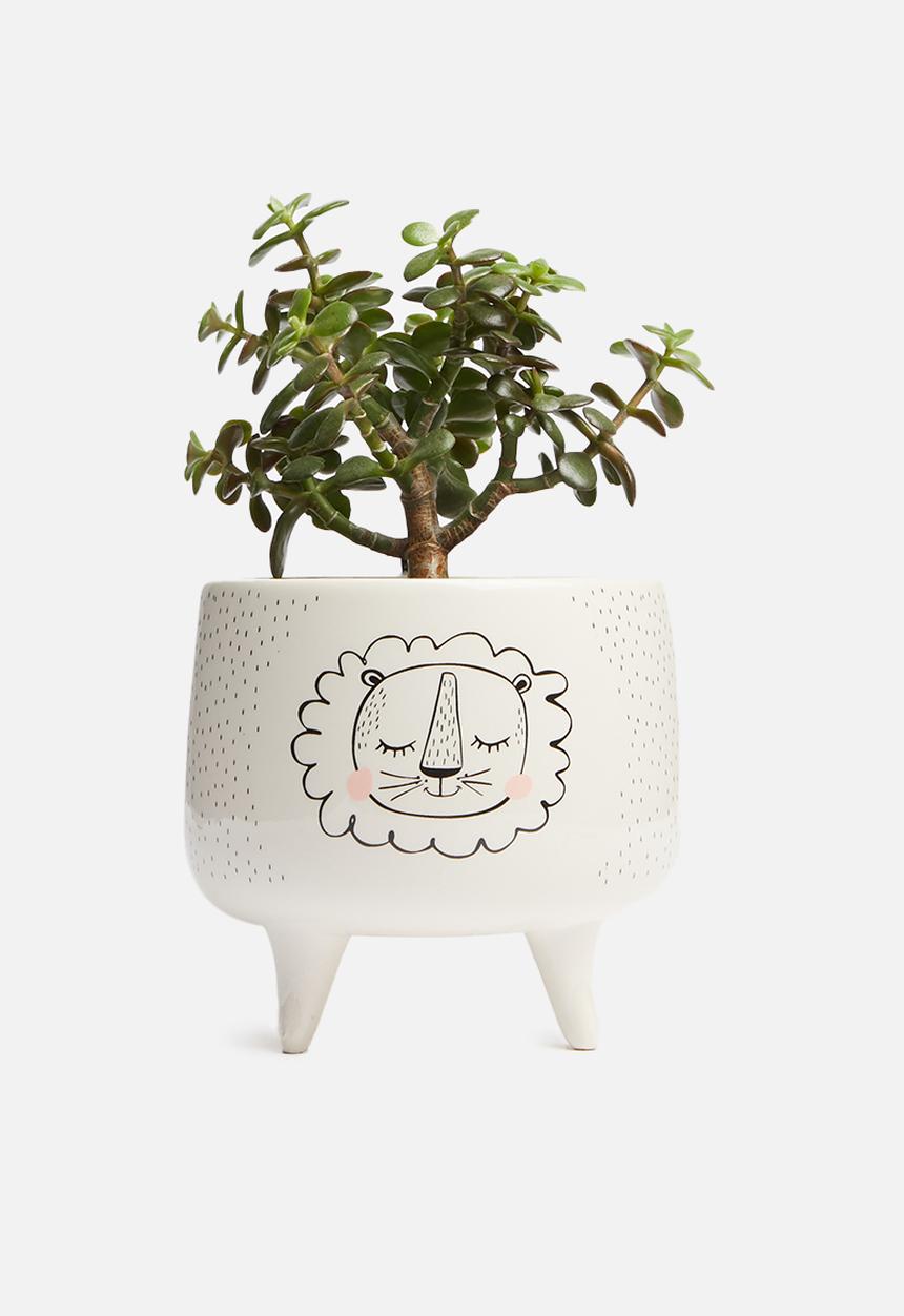 H&S - Sheep planter - white