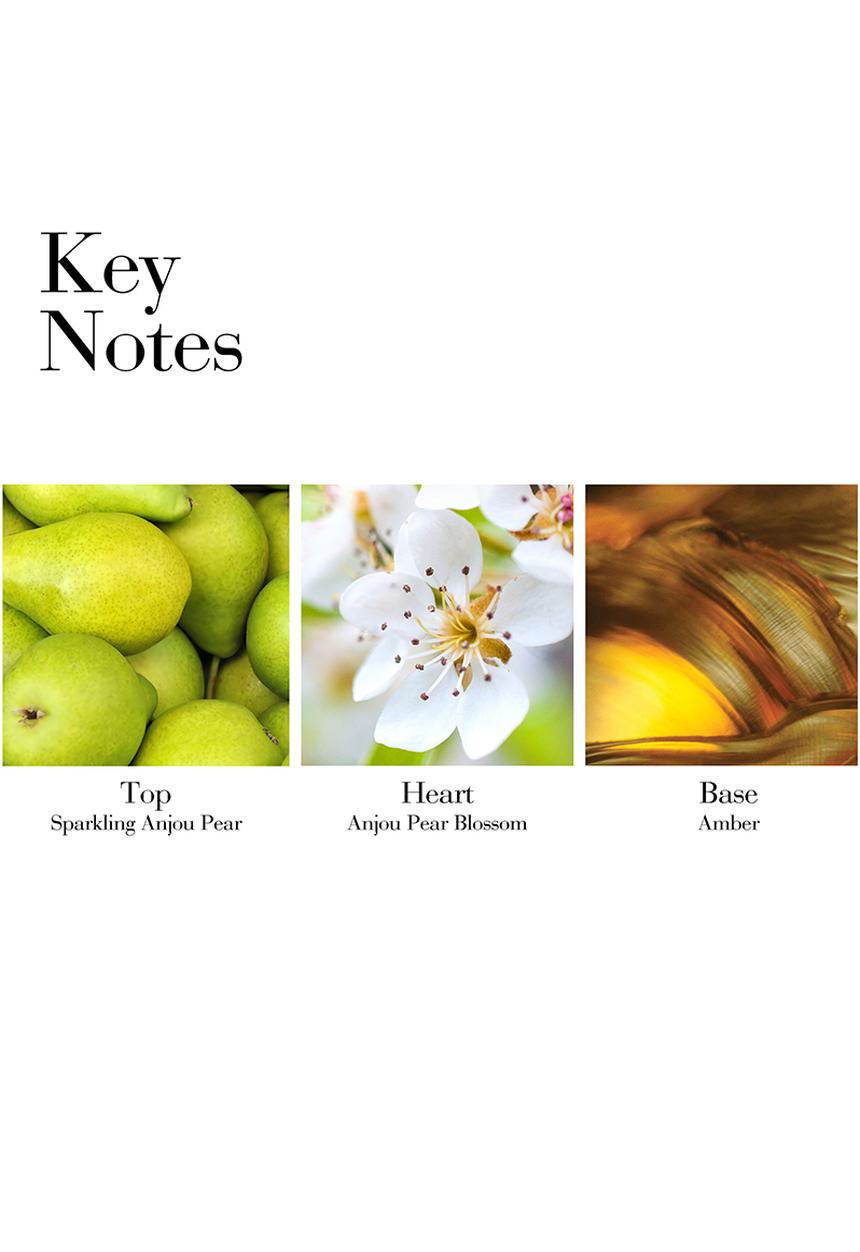 Elizabeth Arden - Green Tea Pear Bossom EDT - 100ml