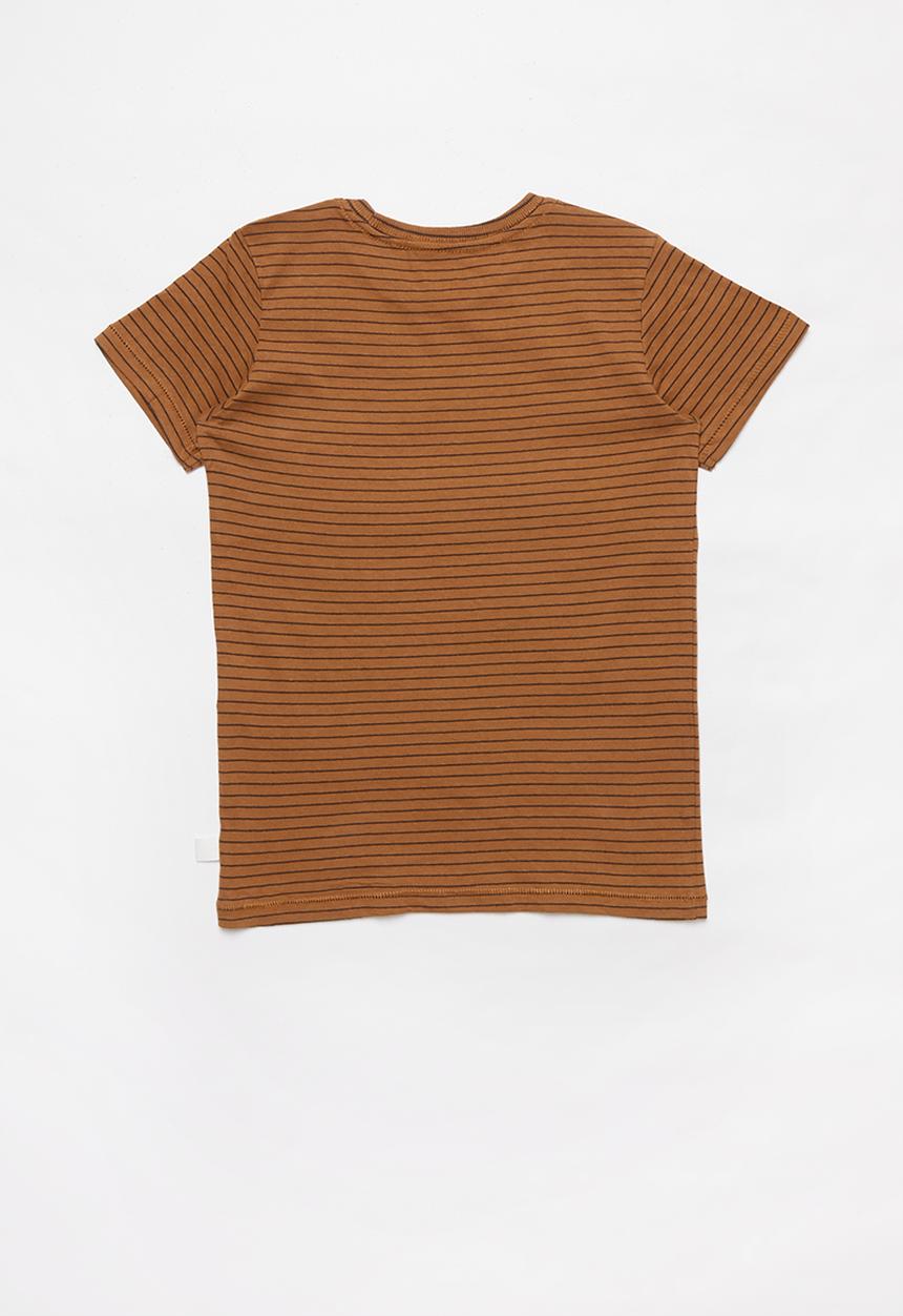 Cotton On - Core short sleeve tee x 3 multipack - multi