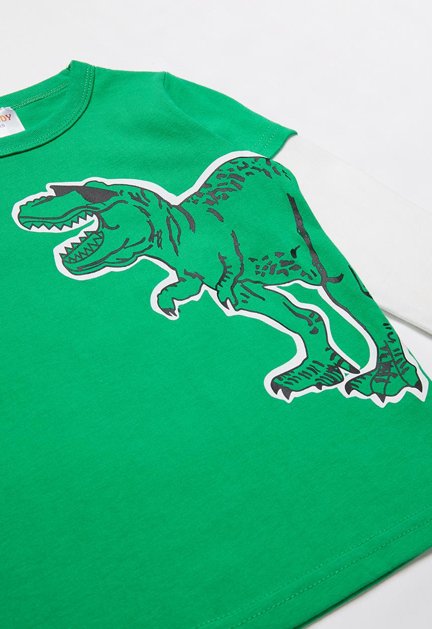 Pop Candy - Boys dino long sleeve tee - green & white