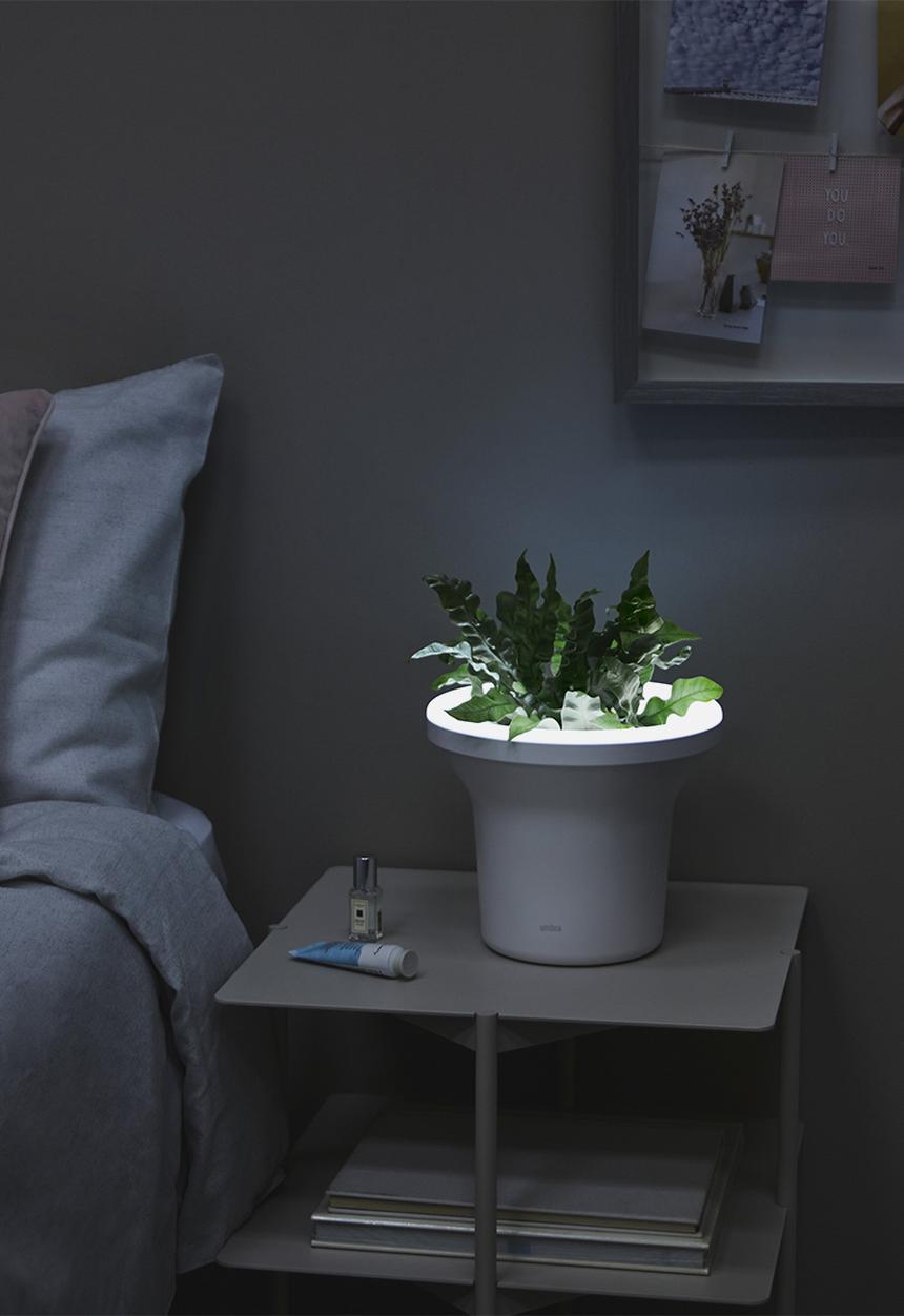 Umbra - Ora planter - white