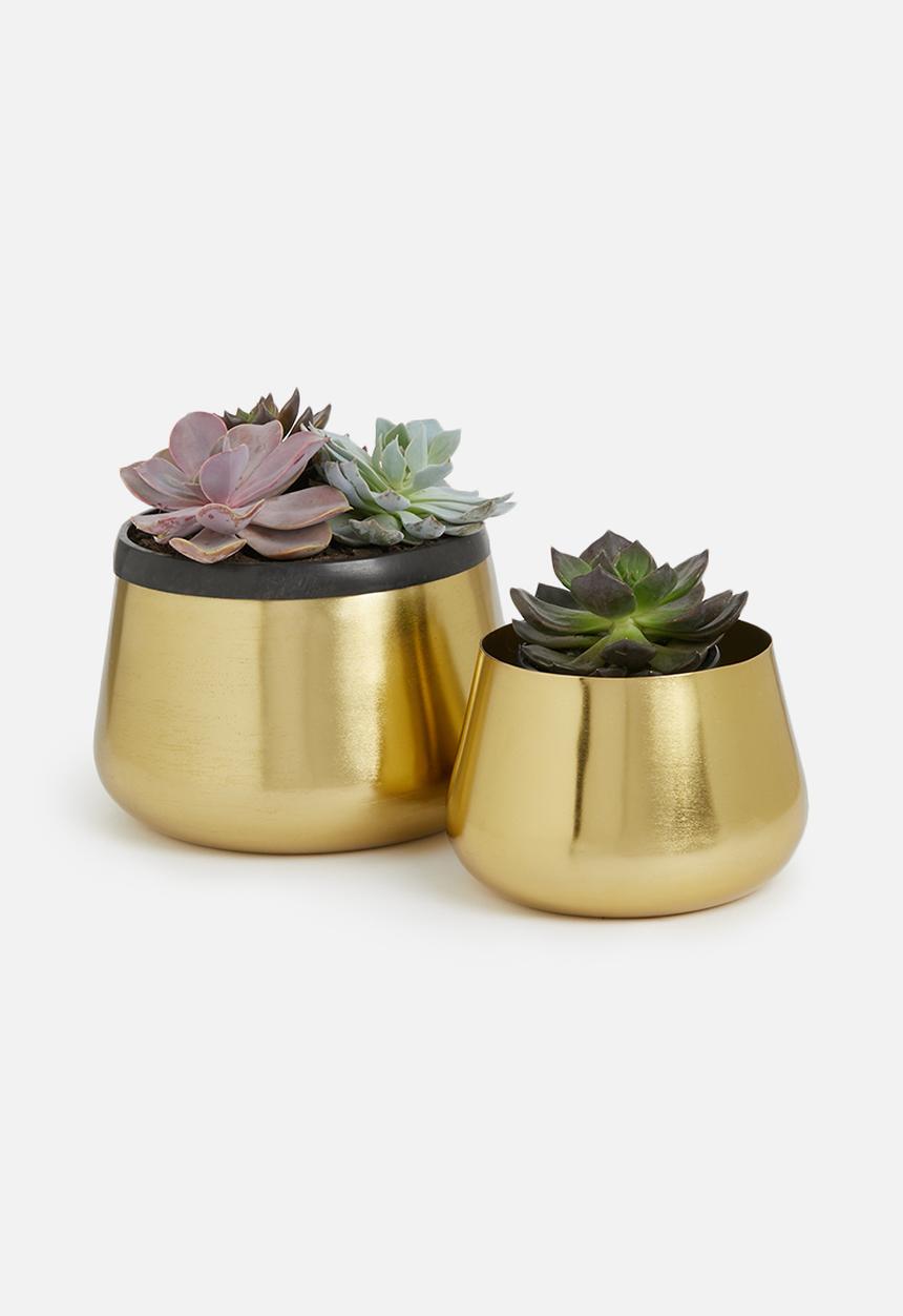 Sixth Floor - Bulbus planter set of 2 - gold