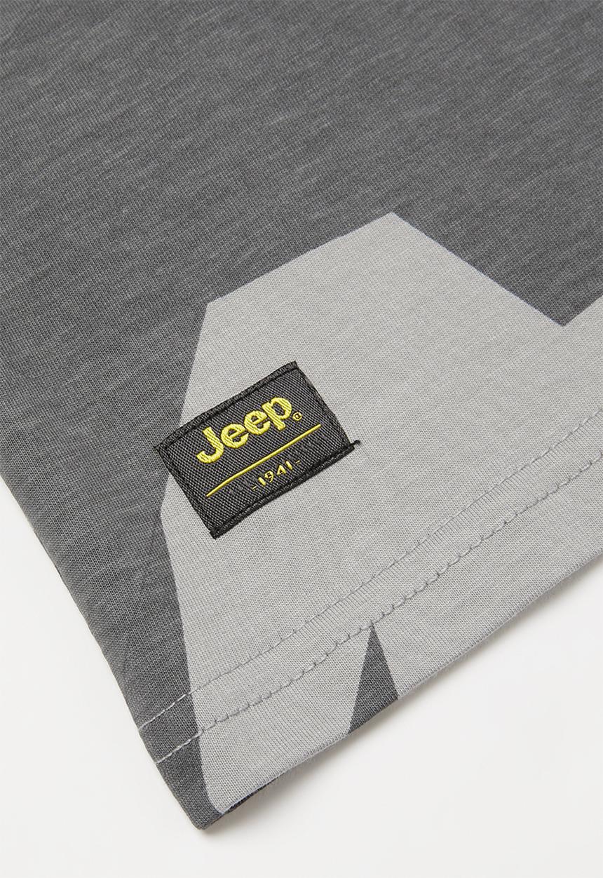 JEEP - Pascal boys short sleeve graphic print tee - grey