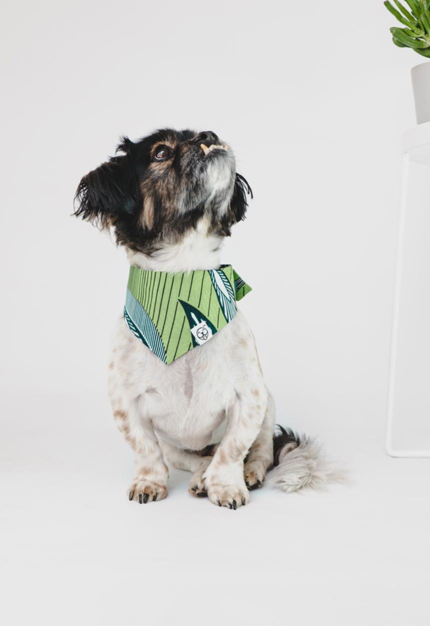 Urban Hound Social - The fundana bandana- green, blue, white