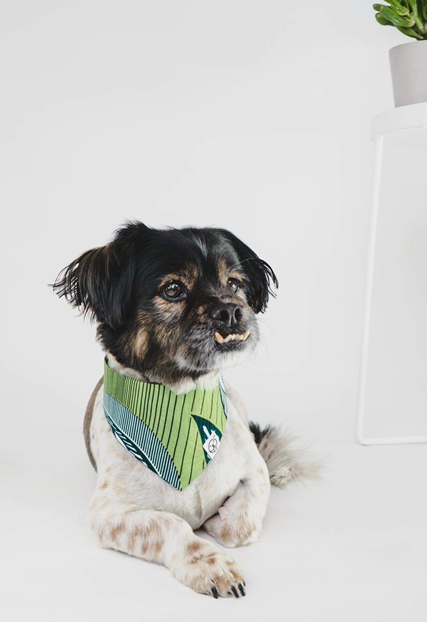 Urban Hound Social - The fundana bandana- green, blue, white