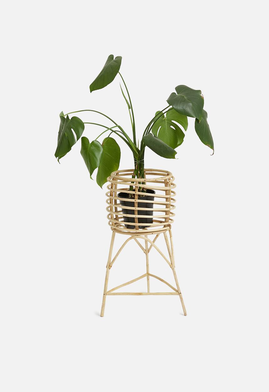 Sixth Floor - Rattan planter - natural