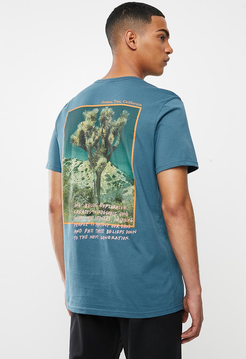 The North Face - Short sleeve graphic tee - blue