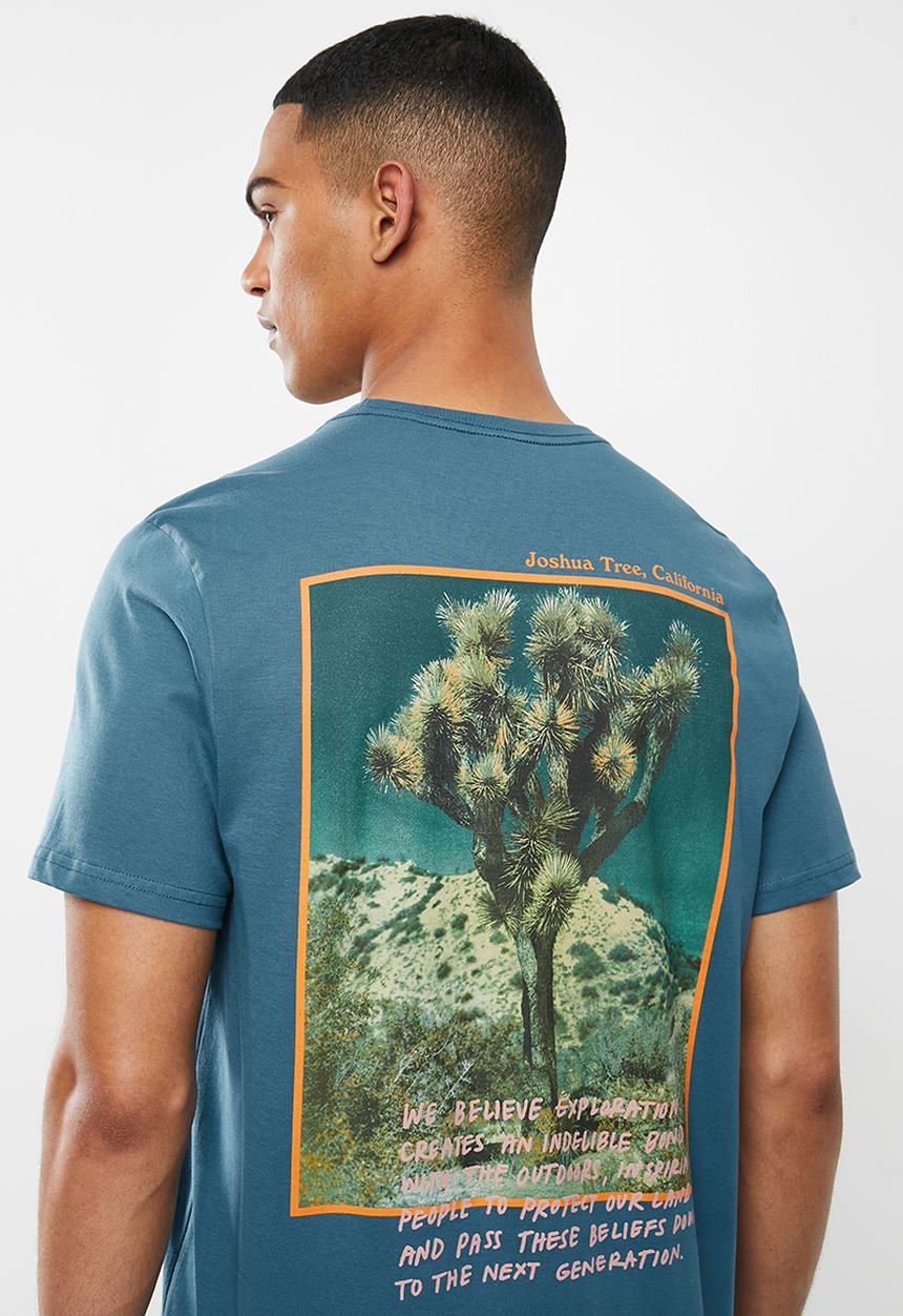 The North Face - Short sleeve graphic tee - blue