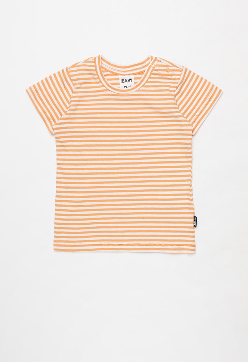 Cotton On - 3 pack jamie short sleeve tee - multi 