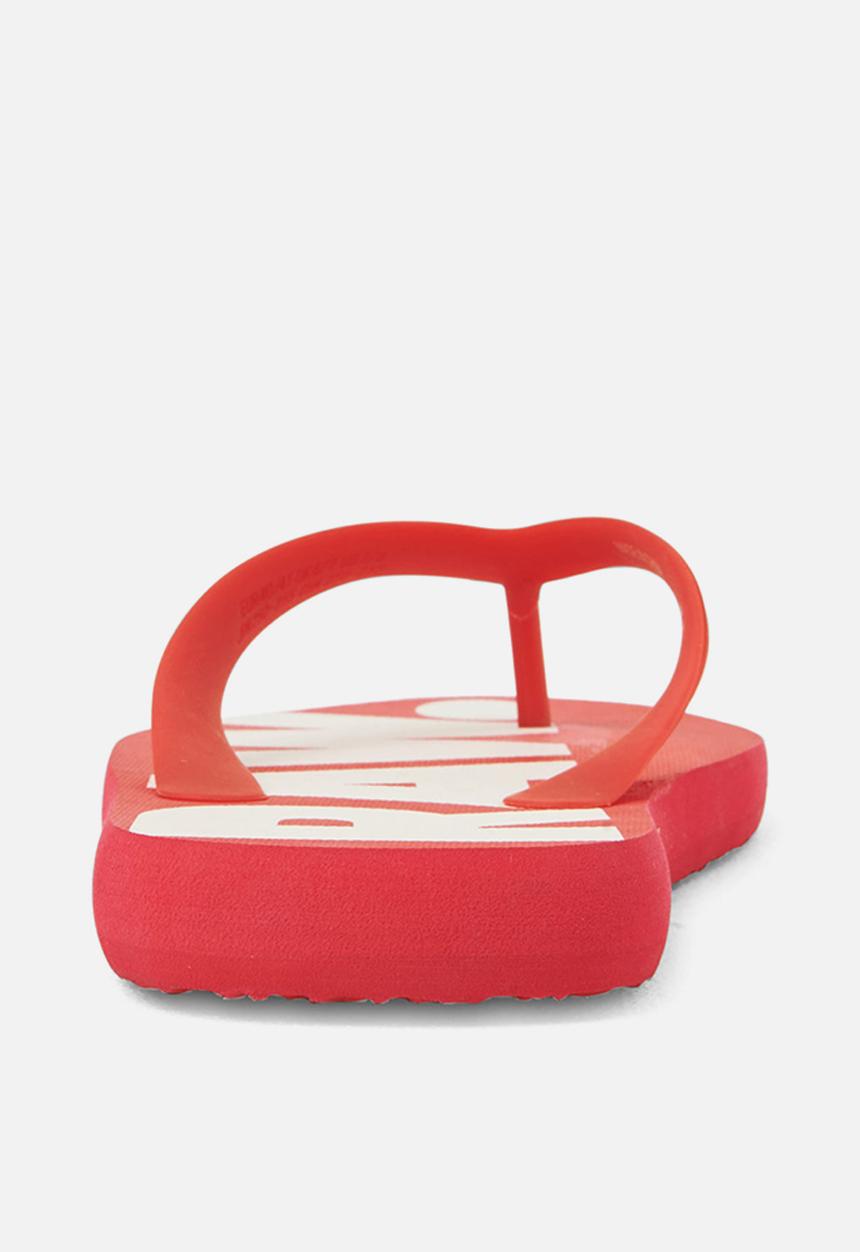 G-STAR - Dend - red