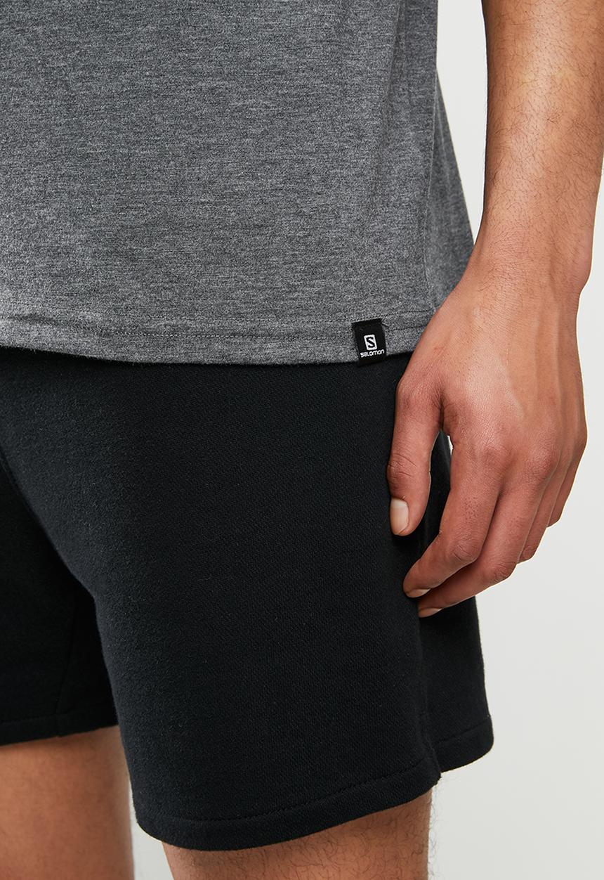 Salomon - Flag short sleeve tee - grey