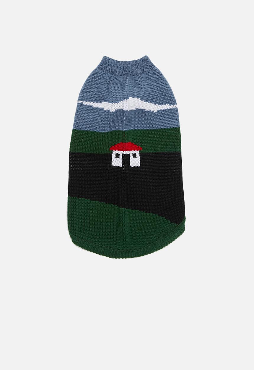 Lucky and Lou - Drew dog jersey - multi