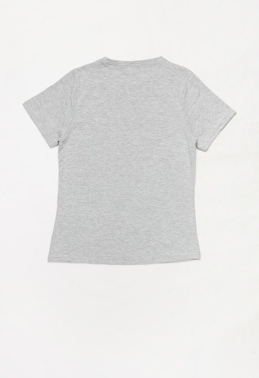 Rebel Republic - Printed short sleeve tee - grey