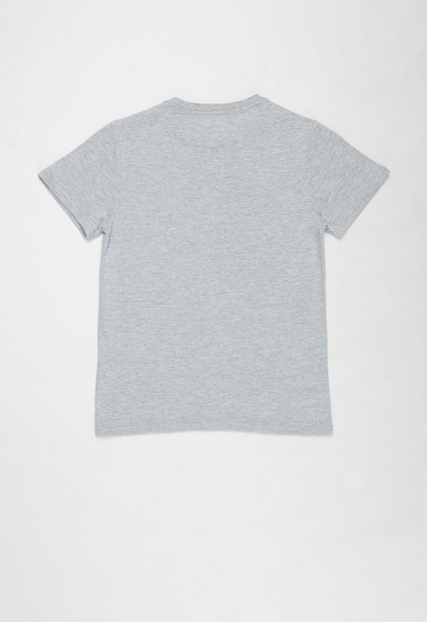Rebel Republic - Tween boys cube tee - grey 