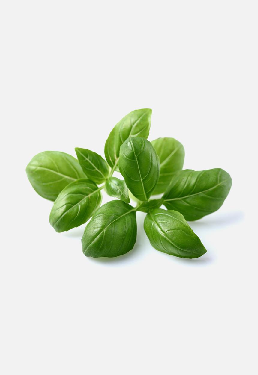Click and Grow - Basil plant pods 