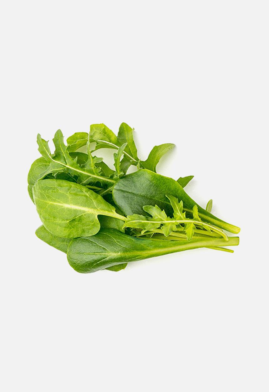 Click and Grow - Salad greens mix 9-pack
