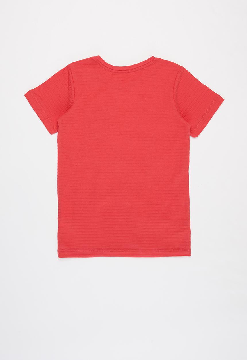 Cotton On - Louis short sleeve texture tee multipack - red & navy 