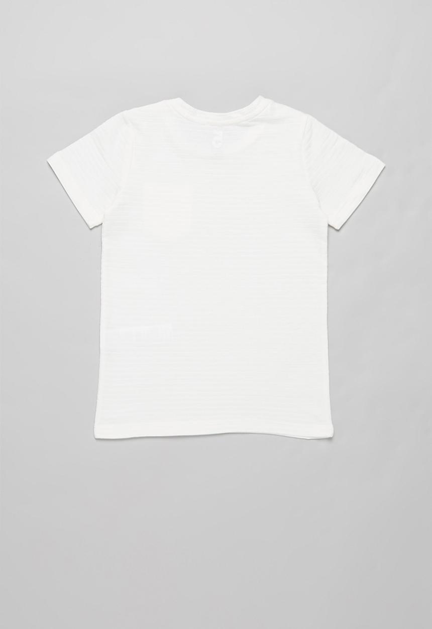 Cotton On - Louis short sleeve texture tee multipack - mint breeze/retro white