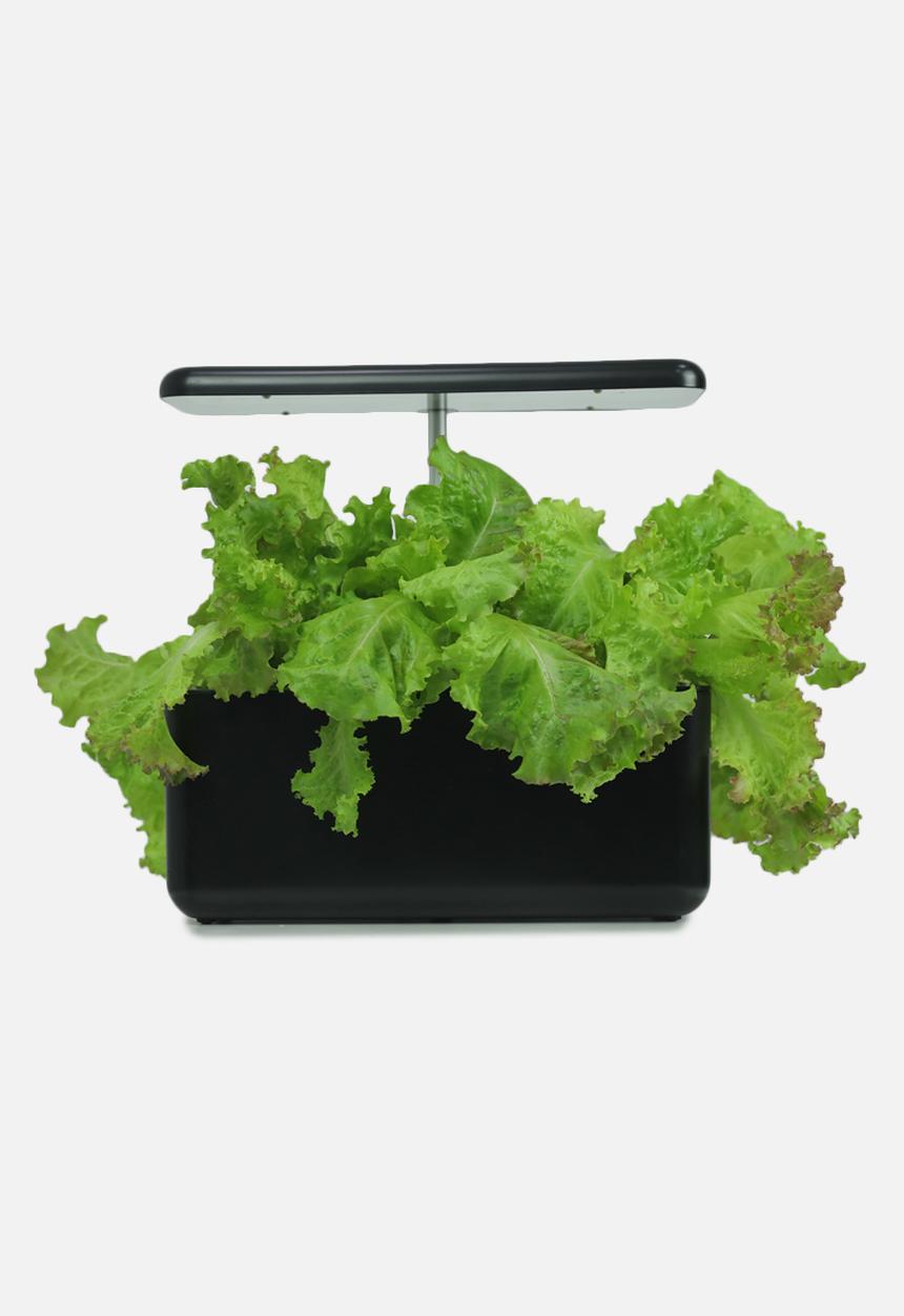 The Urbanist - Urban Cube 7 indoor plant growing lamp-Black