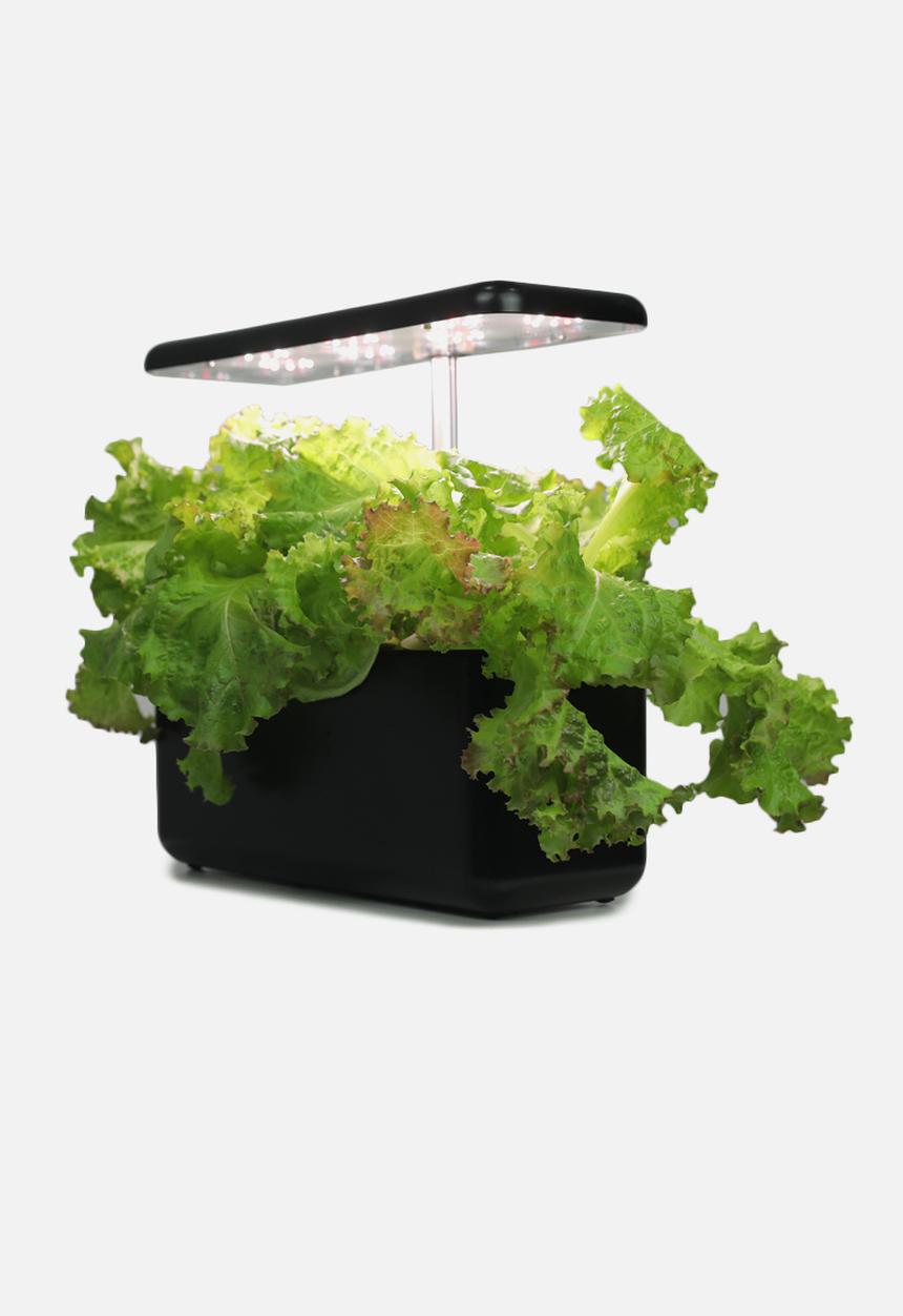The Urbanist - Urban Cube 7 indoor plant growing lamp-Black