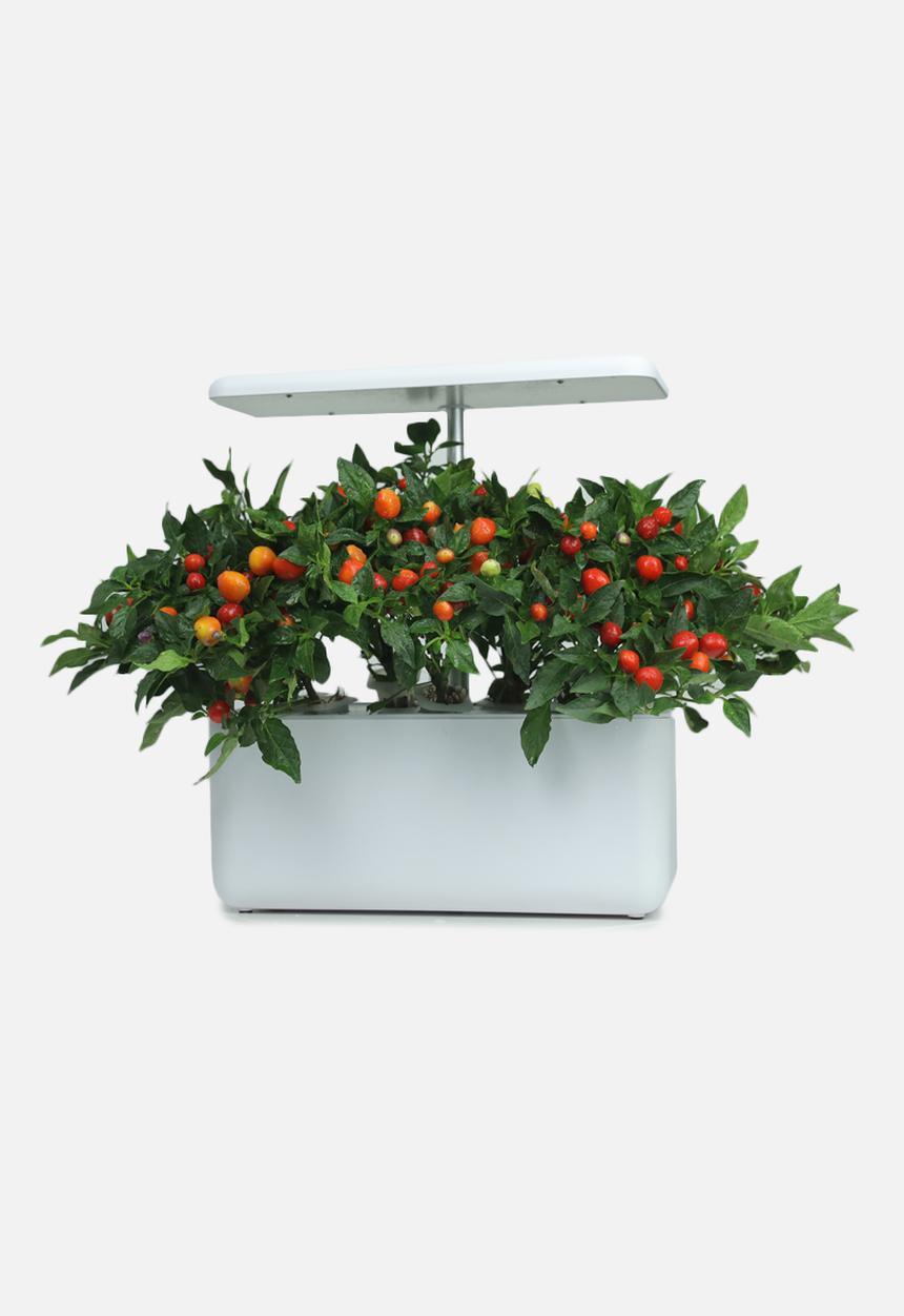 The Urbanist - Urban Cube 7 indoor plant growing lamp - White