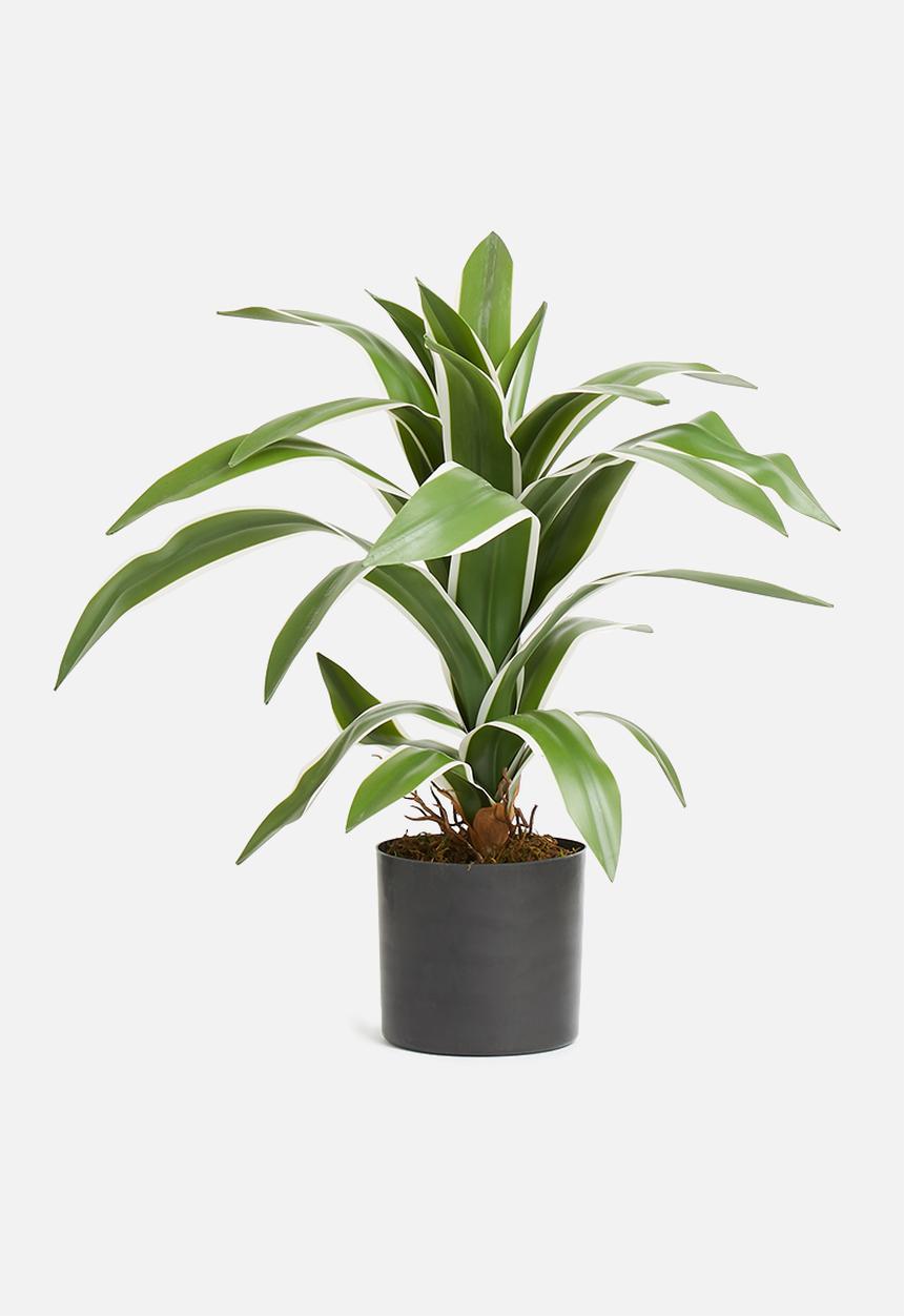 Silk By Design - Yucca bush in pot - green 
