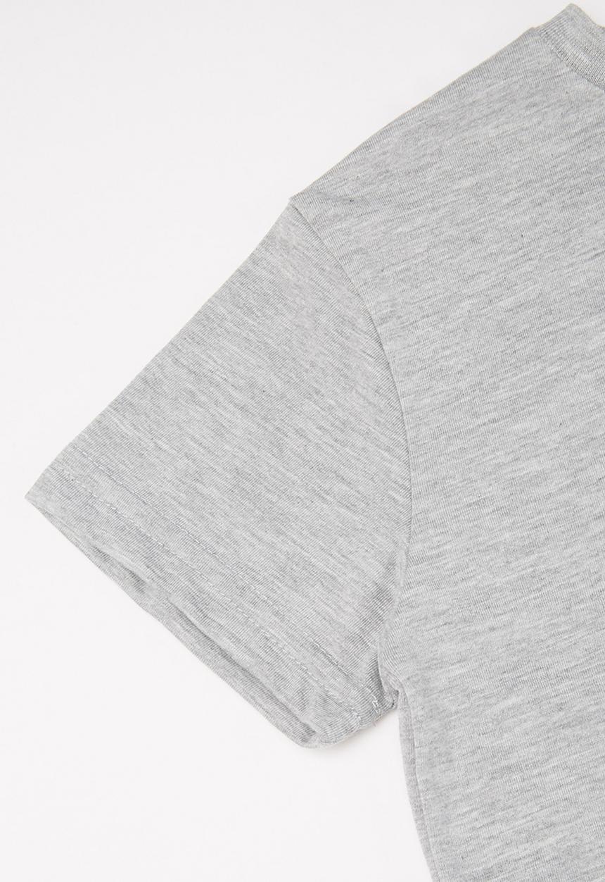 Billabong  - United stacked short sleeve tee - grey