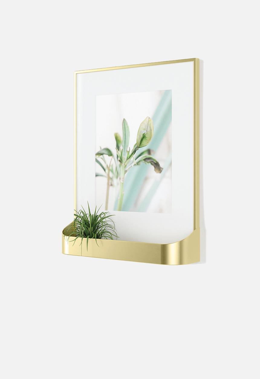 Umbra - Matinee photo display - matte brass
