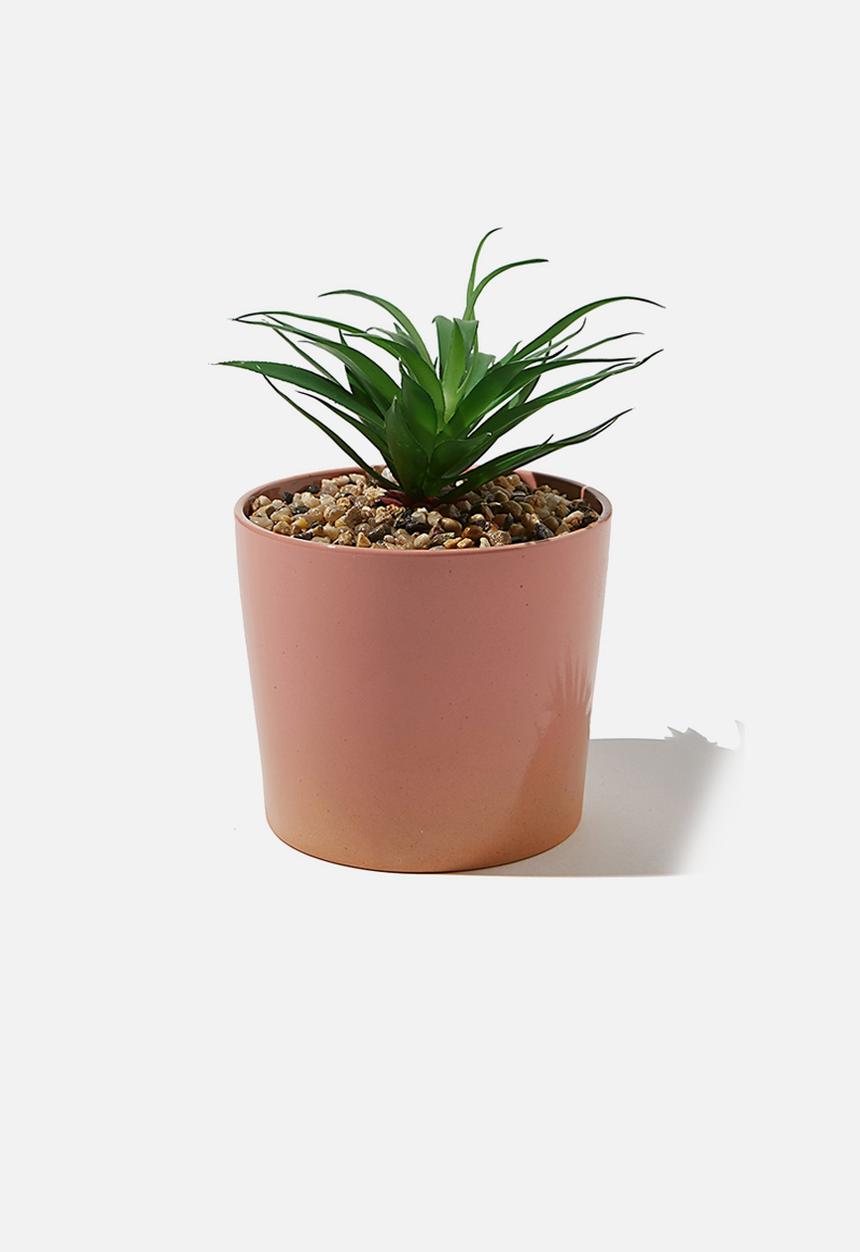 Cotton On - Large planter - coral glaze