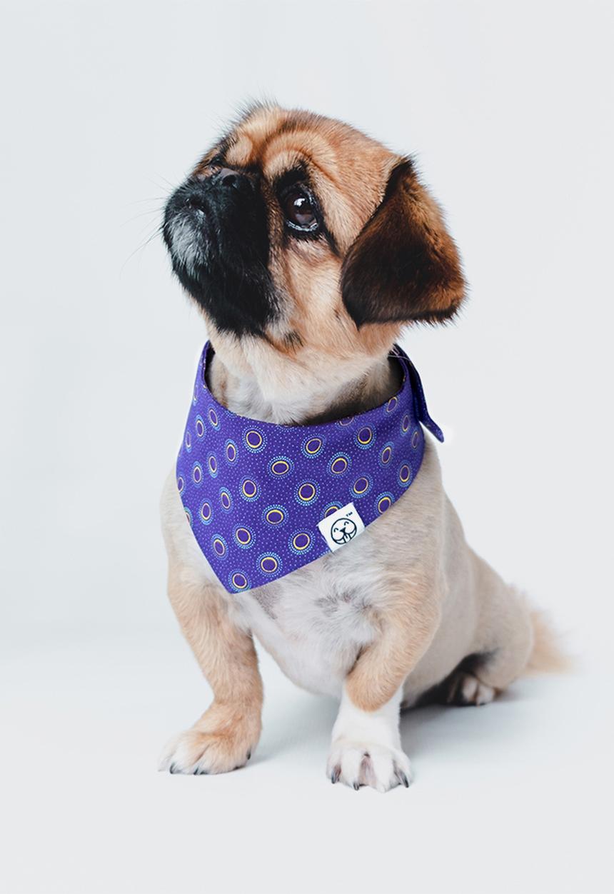 Urban Hound Social - The fundana bandana - purple shweshwe