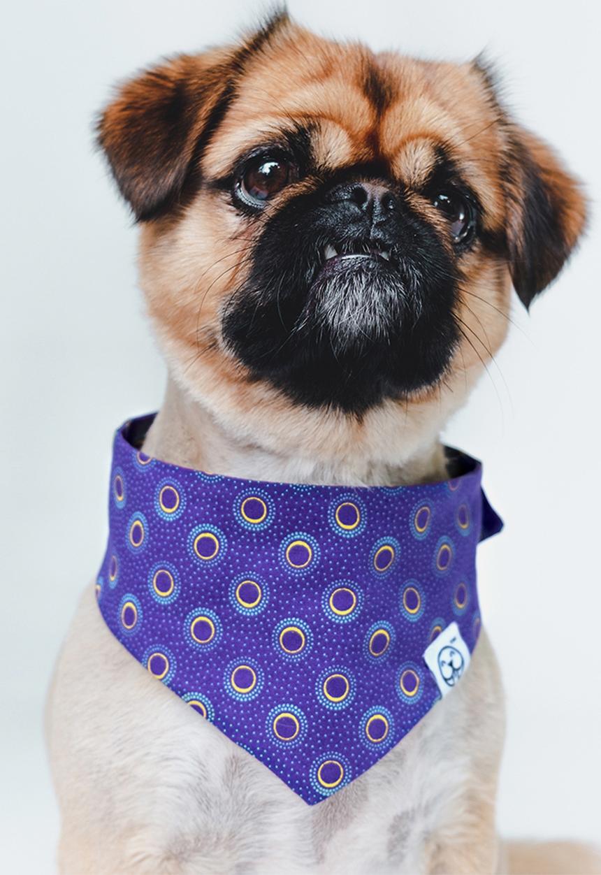 Urban Hound Social - The fundana bandana - purple shweshwe