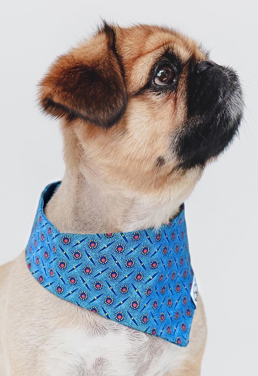Urban Hound Social - The fundana bandana - blue shweshwe