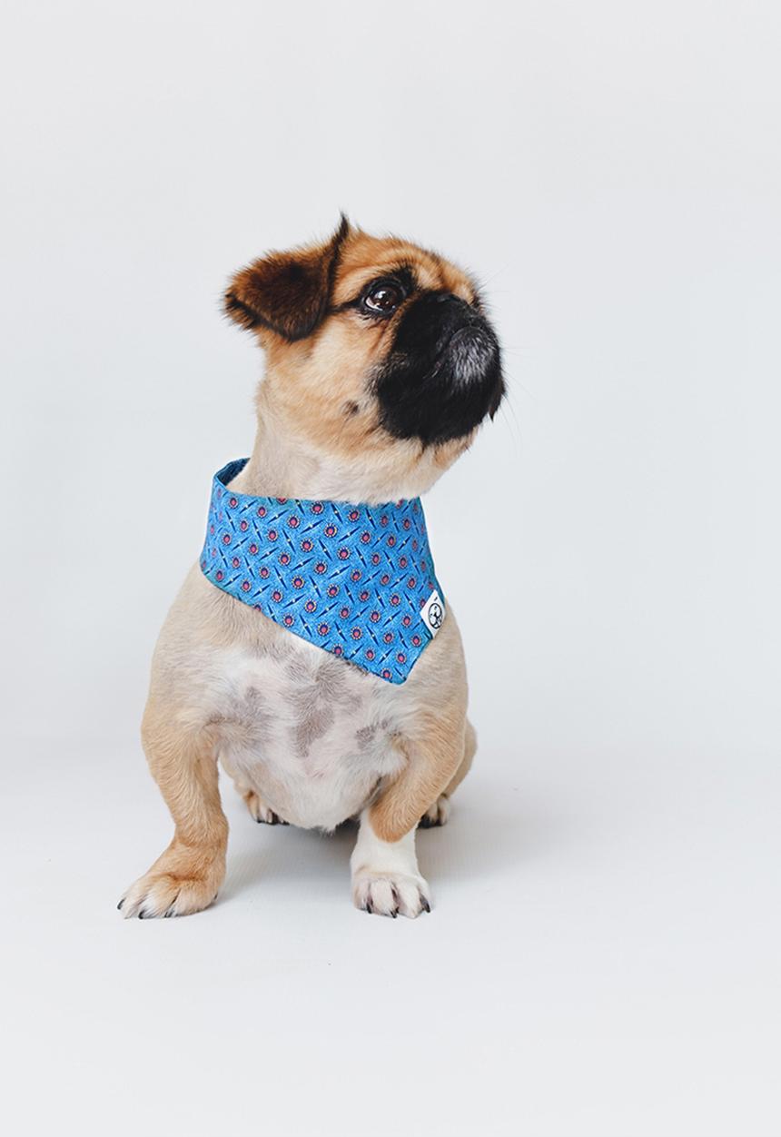 Urban Hound Social - The fundana bandana - blue shweshwe