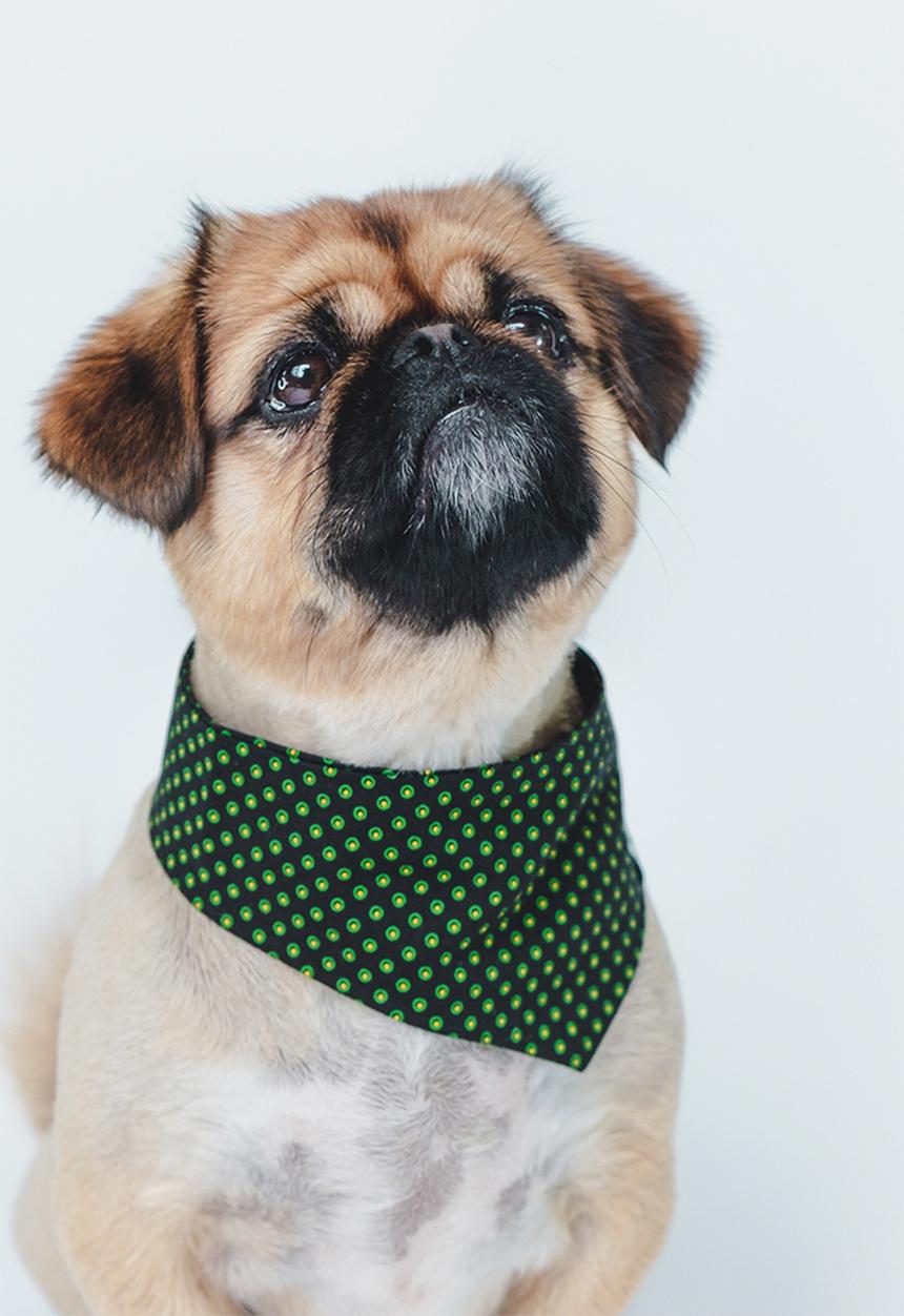 Urban Hound Social - The fundana bandana - green shweshwe
