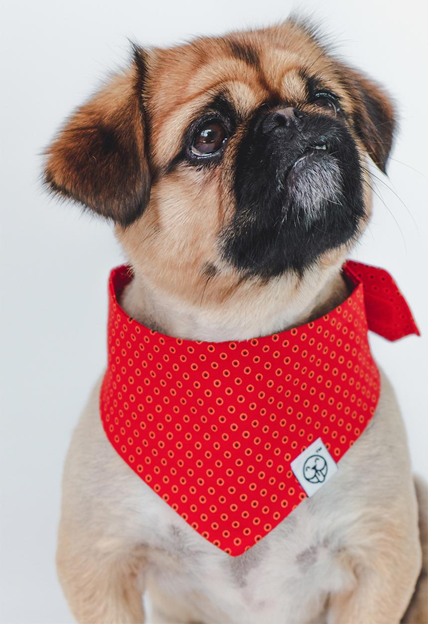 Urban Hound Social - The fundana bandana - red shweshwe