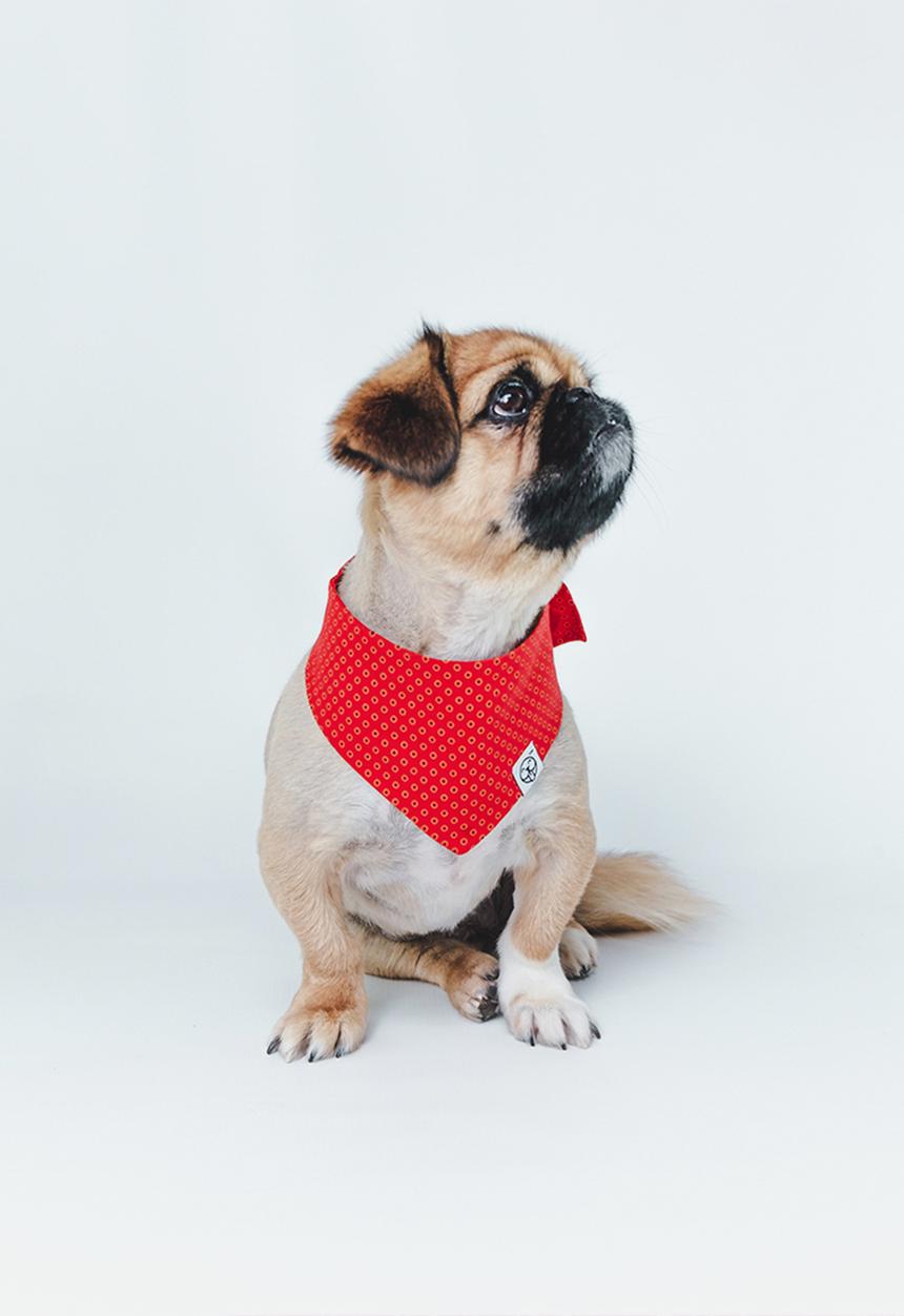 Urban Hound Social - The fundana bandana - red shweshwe